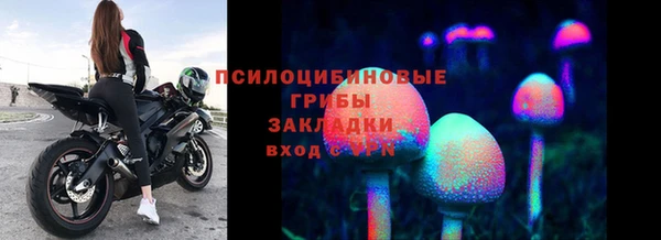 ECSTASY Арсеньев